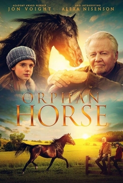 Orphan Horse (2018) Official Image | AndyDay