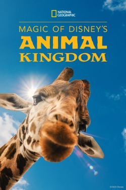 Magic of Disney's Animal Kingdom (2020) Official Image | AndyDay
