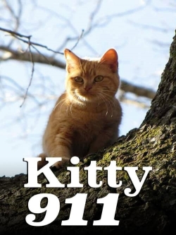 Kitty 911 (2016) Official Image | AndyDay