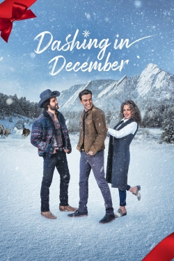 Dashing in December (2020) Official Image | AndyDay