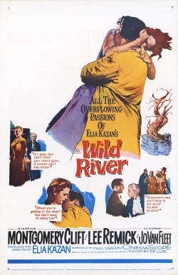 Wild River (1960) Official Image | AndyDay