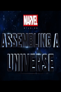 Marvel Studios: Assembling a Universe (2014) Official Image | AndyDay