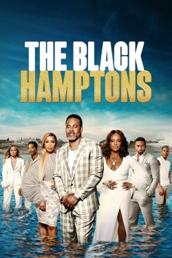 The Black Hamptons (2022) Official Image | AndyDay