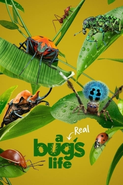 A Real Bug's Life (2024) Official Image | AndyDay