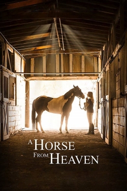 A Horse from Heaven (2018) Official Image | AndyDay