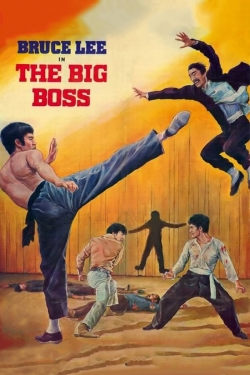 The Big Boss (1971) Official Image | AndyDay