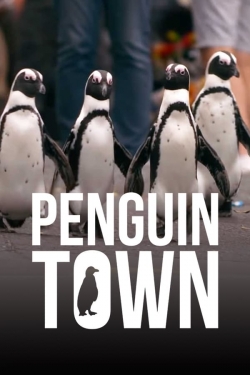 Penguin Town (2021) Official Image | AndyDay