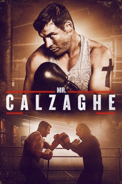 Mr. Calzaghe (2015) Official Image | AndyDay